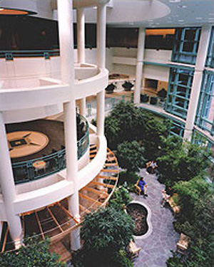 Interior garden view of New Medical Campus, Bronson Methodist Hospital, Boston, Massachusetts