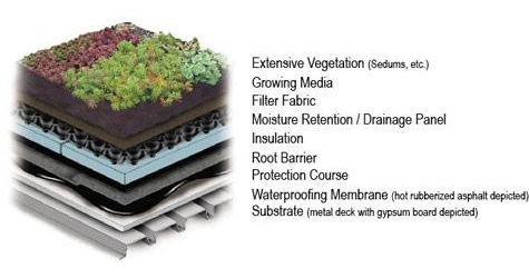 Isometric detail of generic extensive green roof on a steel deck