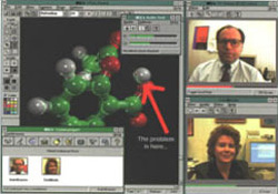 Screenshot of desktop video conferencing