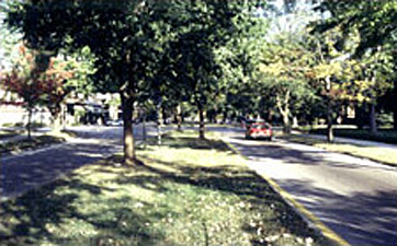 shaded neighborhood street with trees along the median