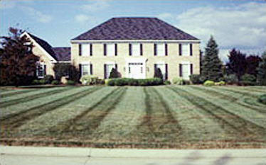 large two story traditional brick home with black shutters, garage on the left, and a large treeless grassy front yard with stripes mowed along the length