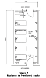Floor plan #1 for rodents in ventilated racks