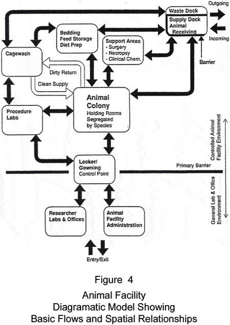 Animal facility diagramatic model showing basic flows and spatial relationships