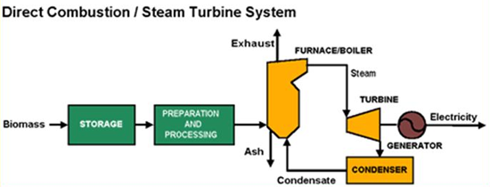 Illustration of how a direct combustion/steam turbine system operates. The biomass first goes into storage, then preparation and processing, and on to simultaneously create ash and exhaust. From there, the biomass becomes boiler fuel that produces steam to operate a steam turbine and generator to make electricity.