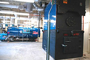 Photo of a biomass-fired boiler on the right and a Hurst natural gas-fired backup boiler on the left