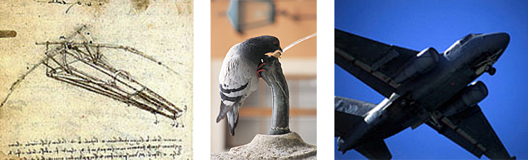 3 side-by-side images: left is Da Vinci's flying machine design, middle is a photo of pigeon drinking from a water fountain, and right is a photo of S-3B aircraft