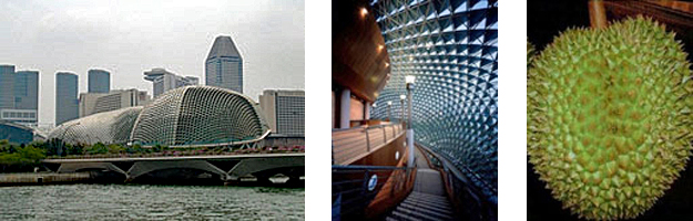 3 side-by-side images: left is the exterior view of the Esplanade Theater and commercial district in Singapore, center is the shaded interior of the Esplanade Theater where the wall surface is much like the Durian plant, and right is a close up image of the Durian plant