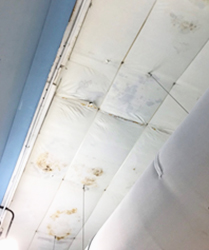 vapor barrier staining from leaks in an elastomeric roof