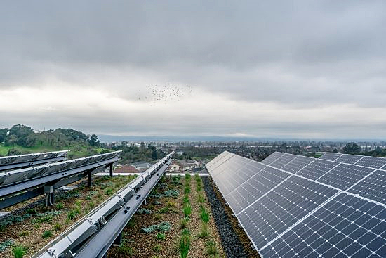 Rooftop PV and plantings at Sonoma Academy's Janet Durgin Guild and Commons