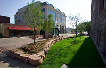 Public plaza created between buildings-with grass on right side along the building spearated from the pedestran plaza by a short paver wall in which a planter was created