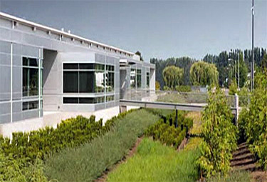 One story modern gray building surrounded by landscaping and bioswale