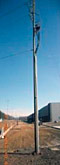 Photo 1B Utility pole