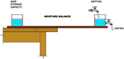 Moisture balance illustration