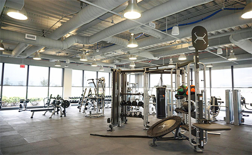 Interior of physical fitness center featuring nation light and light sources above the equipment