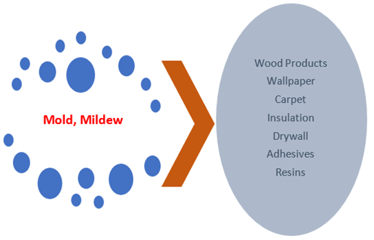 Illustration of all the materials that are affected by mold corrosion