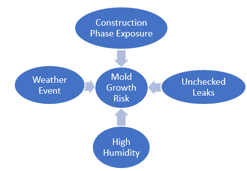 Illustrated chart of the life cycle phases of mold