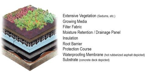 Isometric detail of generic extensive green roof on a concrete deck