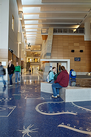 The two-story atrium in the Science Laboratory Center at Winona (Minn.) State University incorporates a stairway as well as a bridge for movement from one side of the building to the other. Multiple materials and colors add visual interest, and the artwork doubles as a teaching and communication tool.