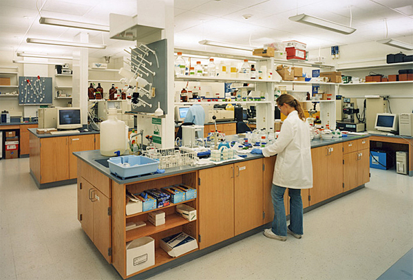 Laboratory design with wood casework