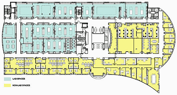 Floorplan of lab and office spaces featuring a racetrack corridor.