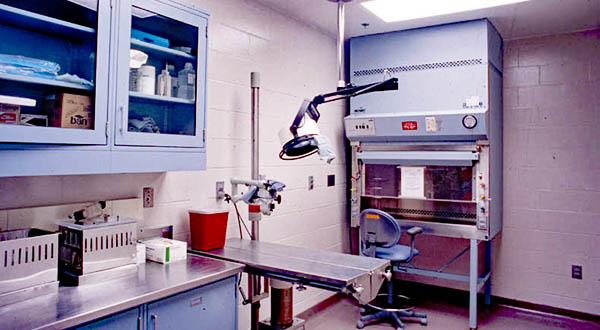 State-of-the-art wet laboratories at the Michigan Biomedical Research Laboratory Building, Department of Veterans Affairs