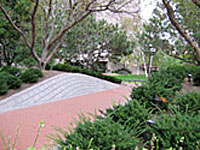 A wide sloping walkway with raised planted berms on each side