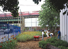 Learning Garden for P.S. 19, Queens, NY