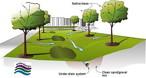 The Bio-swale schematic shows water running toward a low point between two rows of trees where underground, an under drain system surrounded by clean sand/gravel mix is contained.