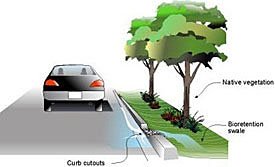 Curb cut schematic showing a cutout of the curb. The drainage leads to the bioretention swale which is positioned between native vegetation.