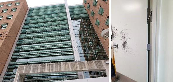 two side by side images, left is the exterior of a large building with efflorescence and black mold caused by water saturation and right is a scratched up office door