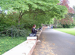 Girl reading on a bench in a park setting.