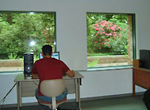 A desk set against windows so the user is facing an outdoor view.