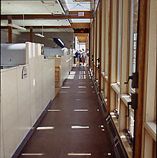 Office corridor with light streaming in from the windows.