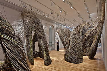 The art installation Shindig, Patrick Dougherty, 2015, uses sticks to weave unique structures. Part of Wonder Exhibit Installations at the Renwick Gallery