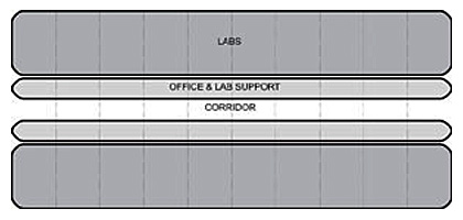 Diagram of a single corridor lab with labs and office adjacent to each other