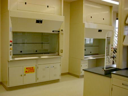 Flammable storage and chemical storage cabinets below a fume hood