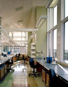 Photo of daylight as the primary light source in a window-filled lab