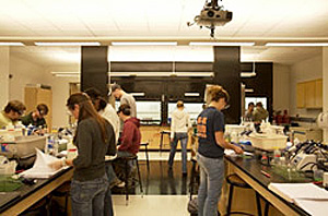 Students working at lab tables below glare-free indirect illumination
