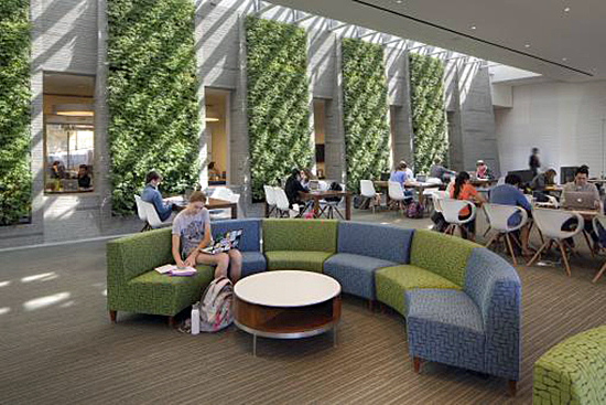 Healy Family Student Center at Georgetown University, girl on circular couch with living green wall panels in the background