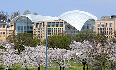 Institute of Peace building in cherry blossom season