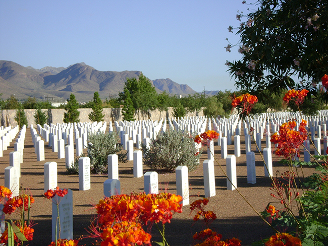 Fort Bliss National Cemetery has low-water landscape desig and view of mountains