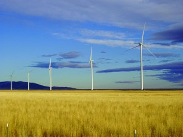 Photo of a field with a row of 5 wind turbines